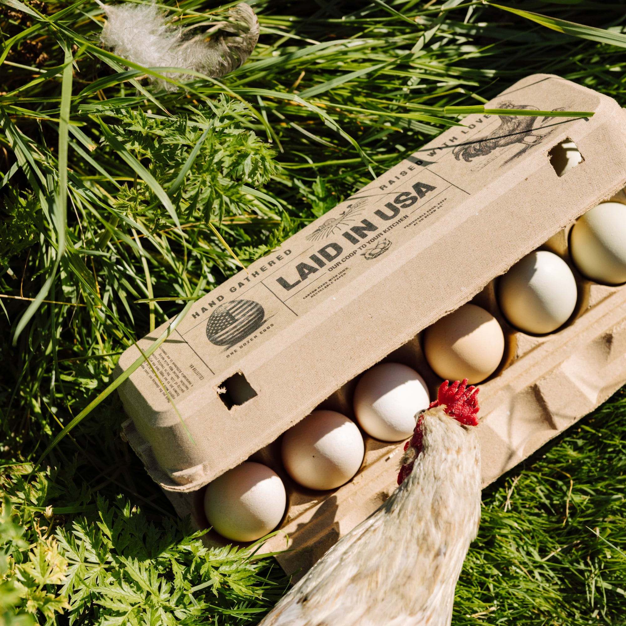 Laid in USA: Reusable, Compostable Egg Cartons (Bulk)