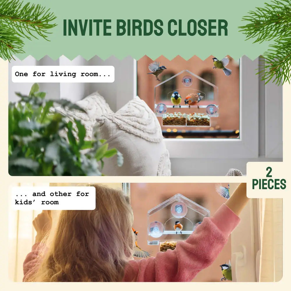 Clear View Window Bird Feeder with Suction Cups (2 Piece Set)
