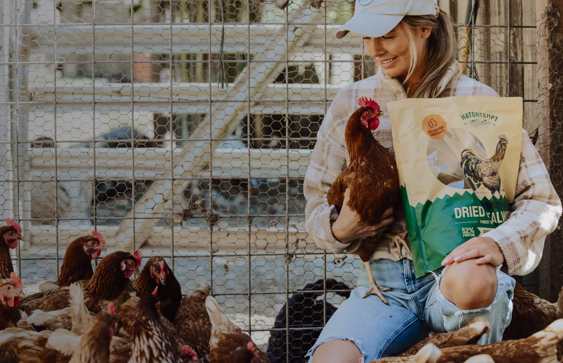 Person holding a chicken and a bag of Hatortempt dried mealworm feed in a chicken coop.