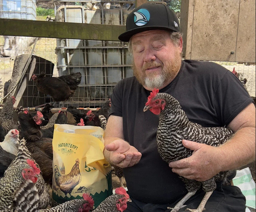How to Train Your Chickens and Create a Strong Bond