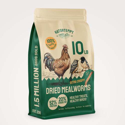 Dried Mealworms For Chickens