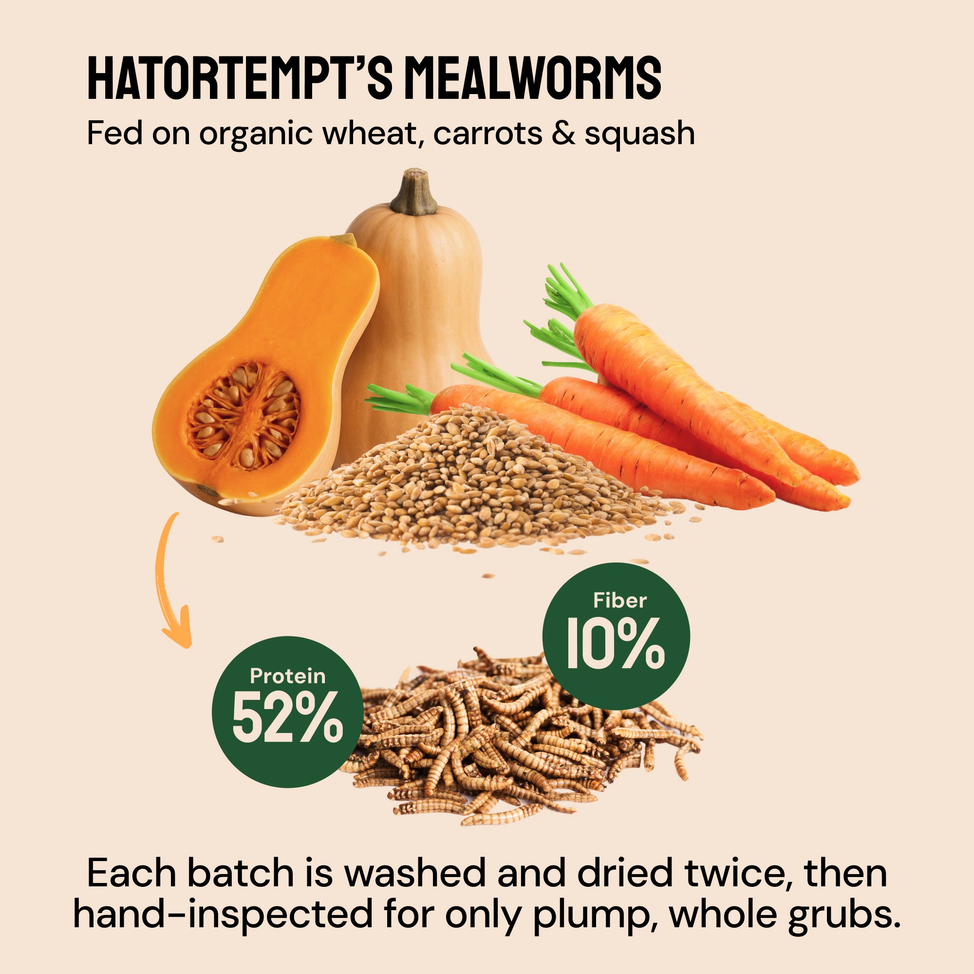 Dried Mealworms For Chickens