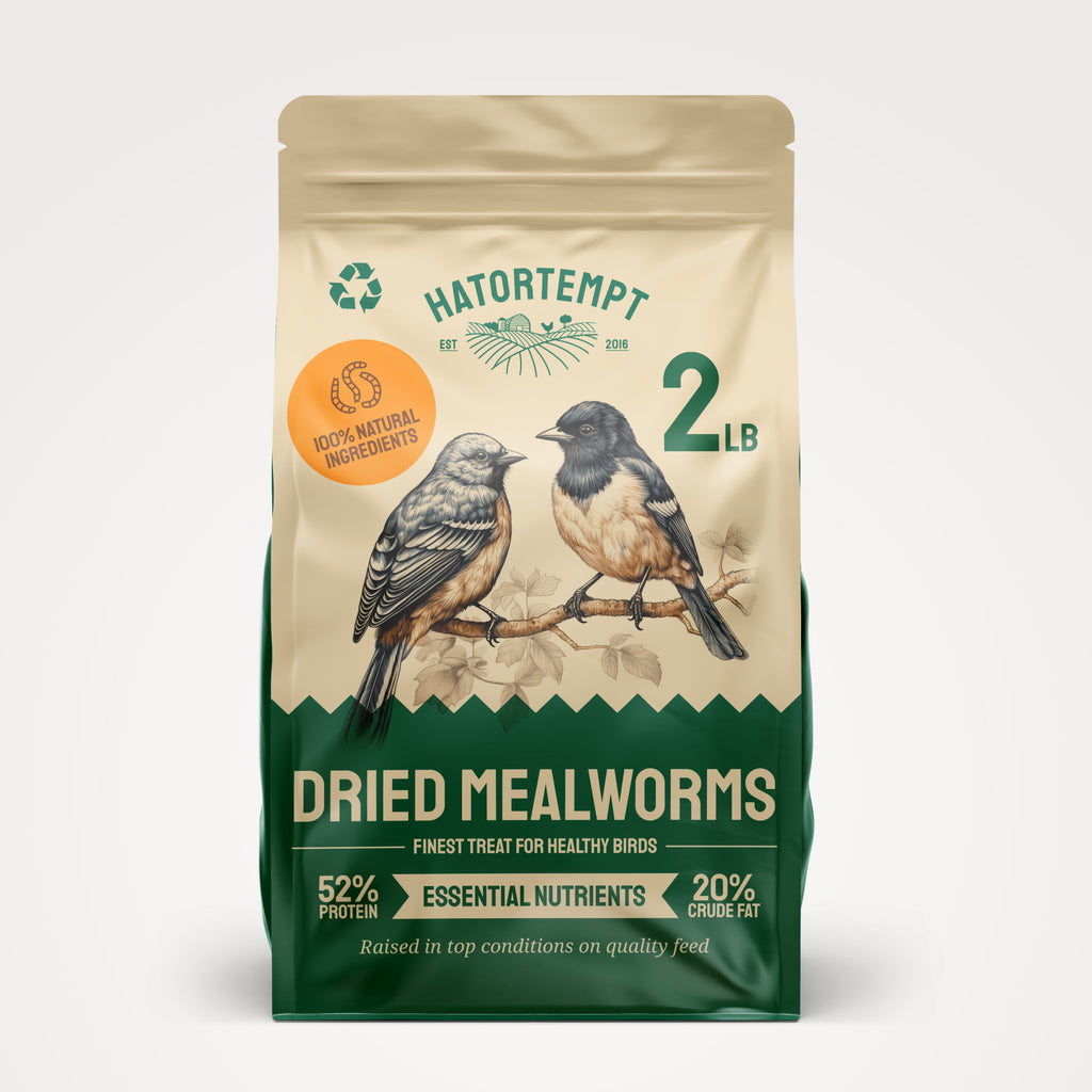 Dried Mealworms For Chickens