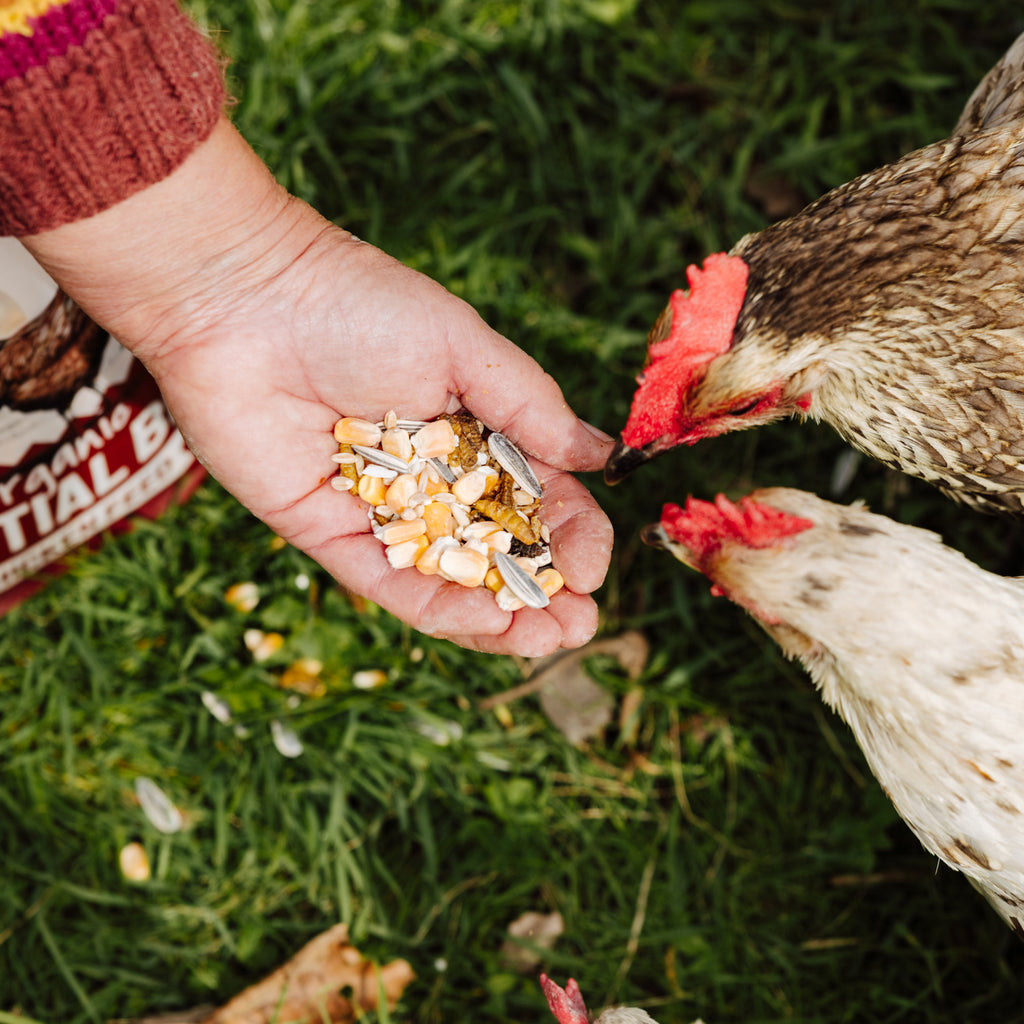 Essential Blend Chicken Feed (Formulated for Layers)