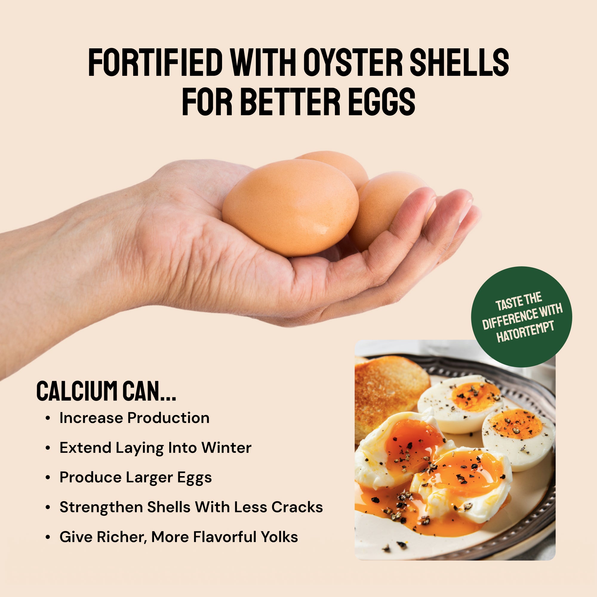 Essential Blend Chicken Feed (Formulated for Layers)