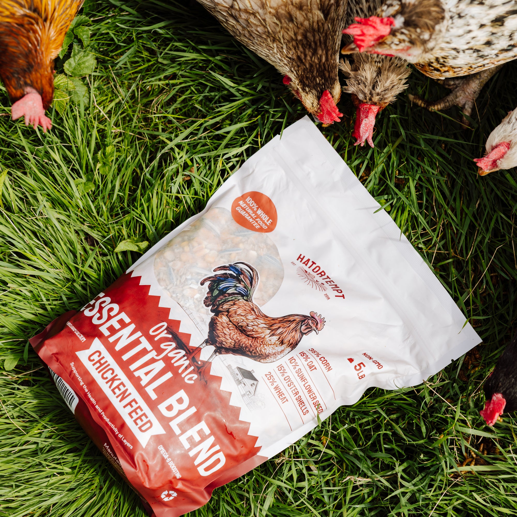 Essential Blend Chicken Feed (Formulated for Layers)