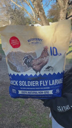 Dried Black Soldier Fly Larvae for Chickens