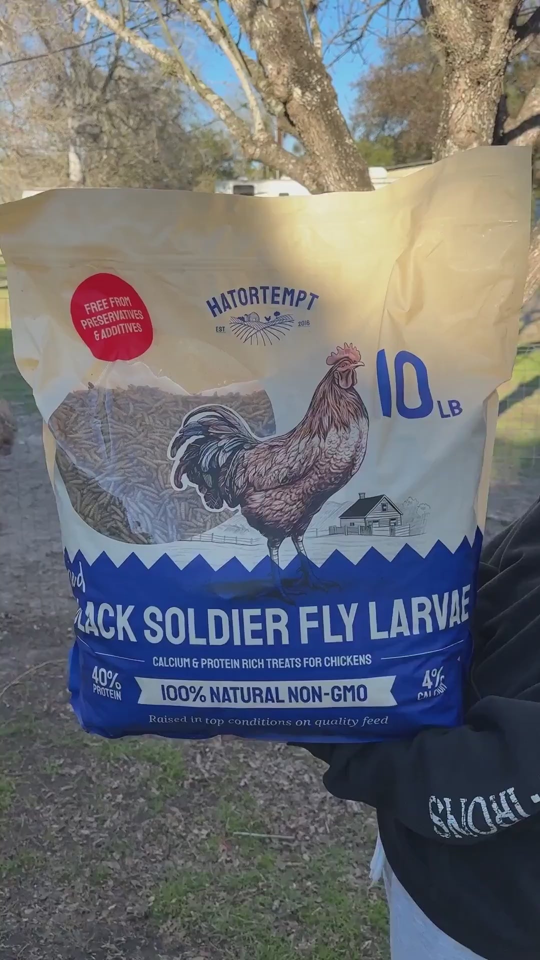 Dried Black Soldier Fly Larvae for Chickens